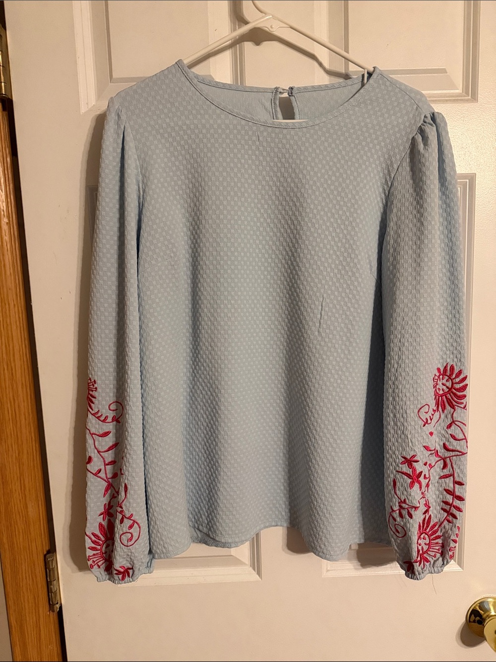 Light Blue Long-Sleeve Top with Magenta Floral Embroidery